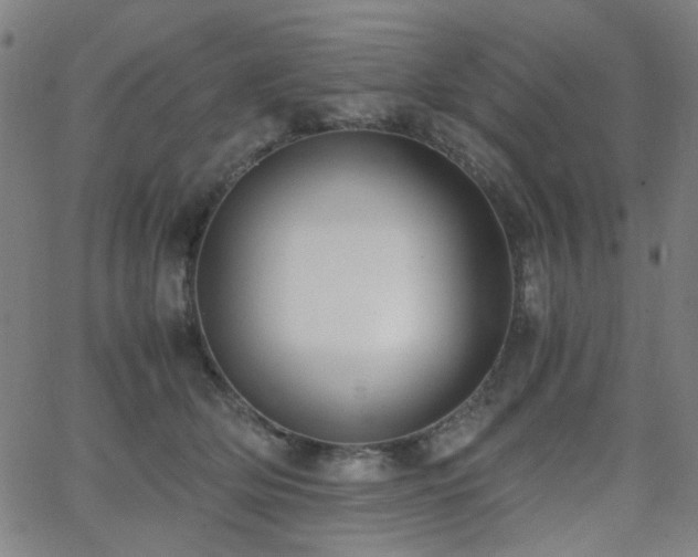 X0000062600514200512211114