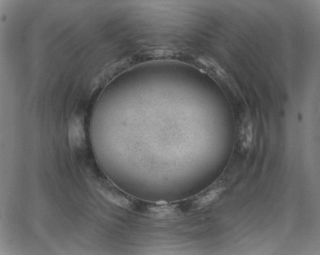 X0000062600516200512211114