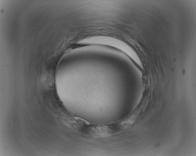 X0000062600517200512211114