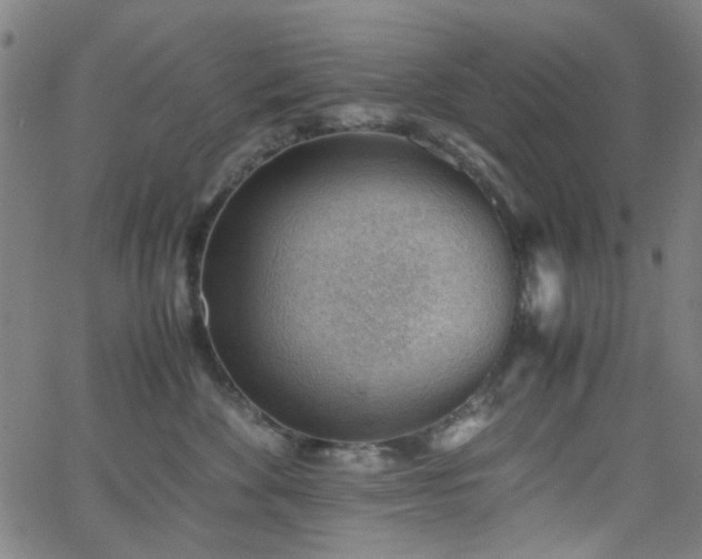 X0000062600524200512211114