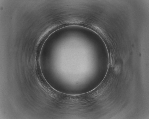 X0000062600531200512211113