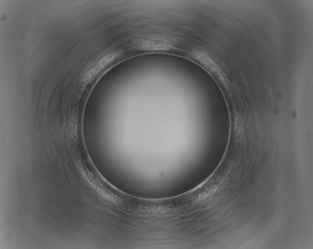 X0000062600533200512211113