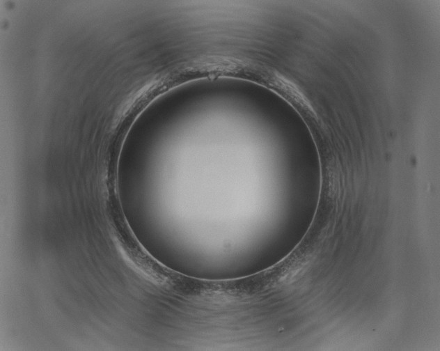 X0000062600538200512211113
