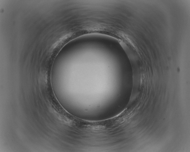 X0000062600539200512211113