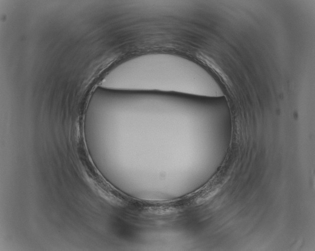 X0000062600541200512211113