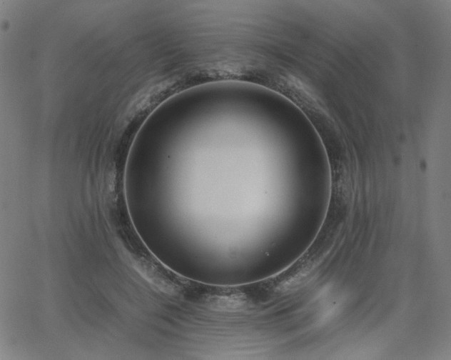 X0000062600548200512211113