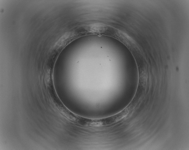 X0000062600554200512211113