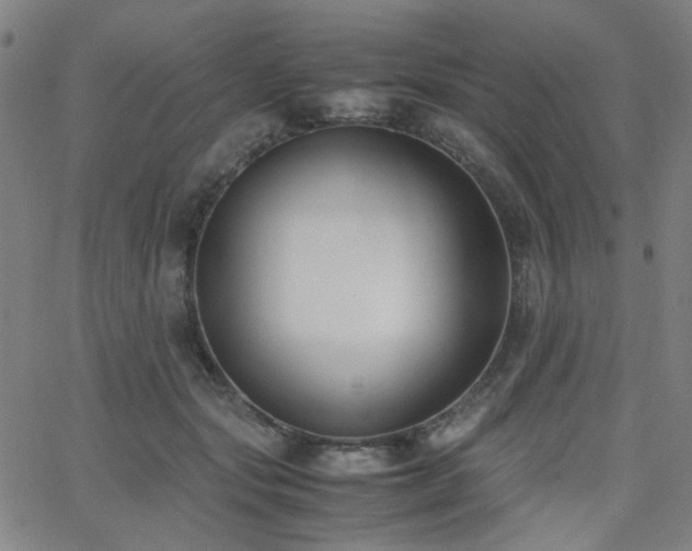 X0000062600557200512211113