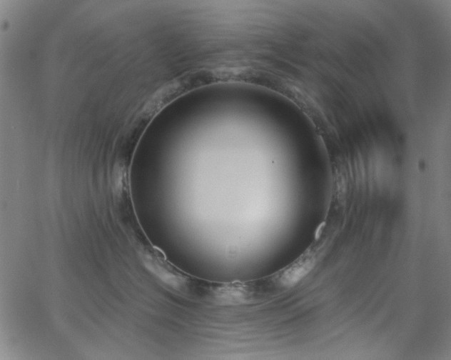 X0000062600574200512211113