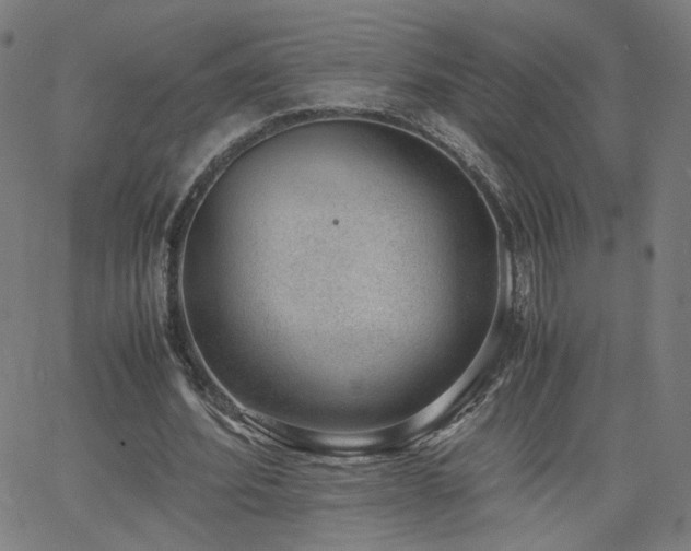 X0000062600580200512211113