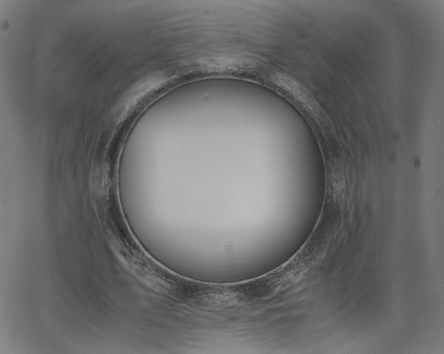 X0000062600583200512211113