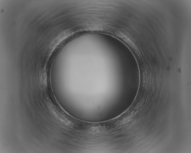 X0000062600584200512211113