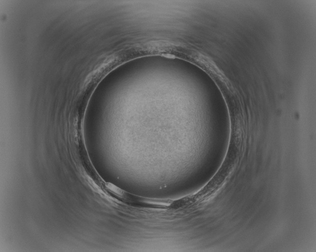 X0000062600585200512211113