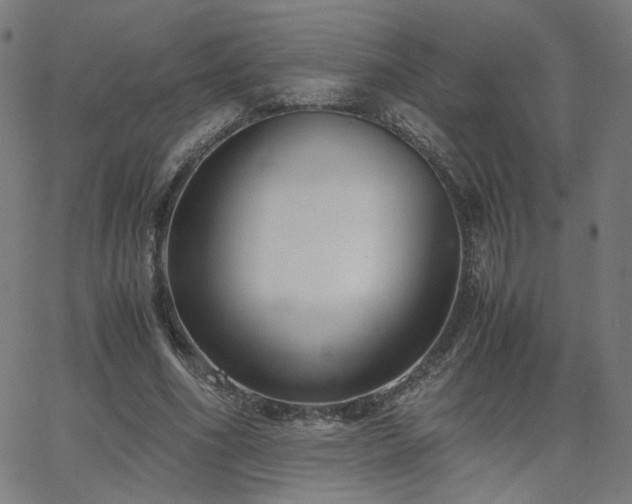 X0000062600586200512211113