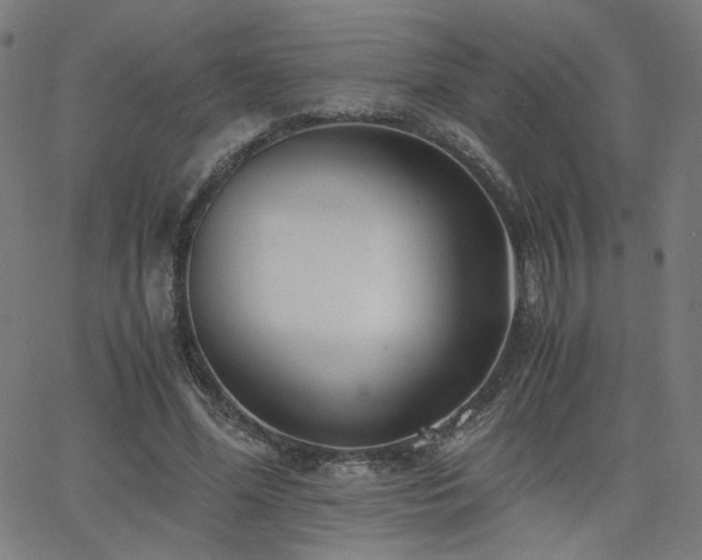 X0000062600588200512211112
