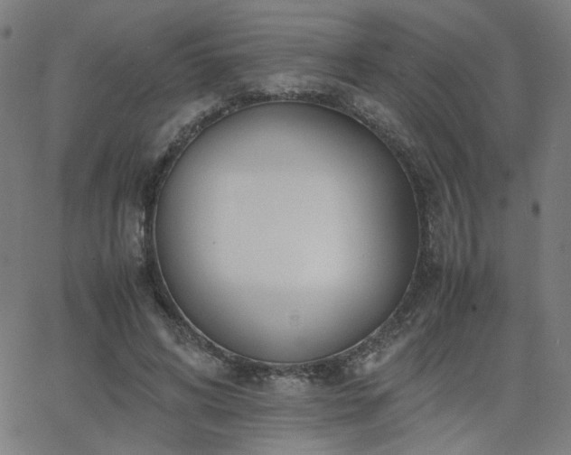 X0000062600592200512211112