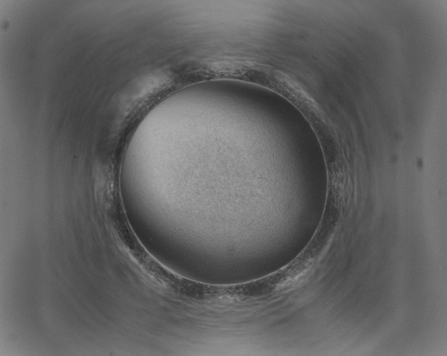 X0000062600593200512211112