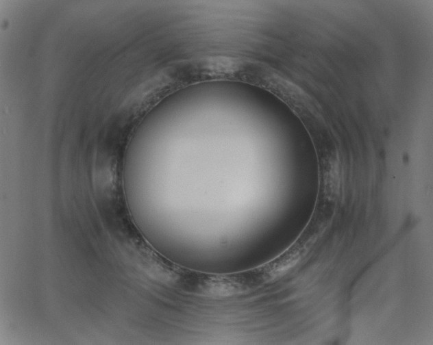 X0000062600608200512211112