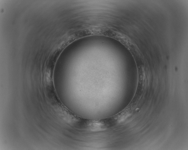 X0000062600610200512211112