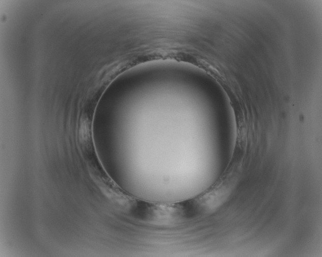 X0000062600623200512211112