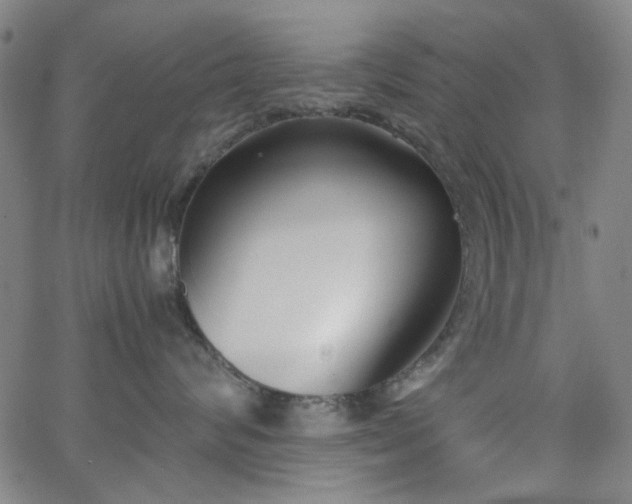X0000062600624200512211112