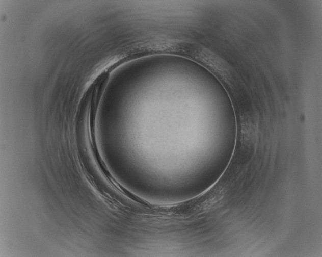 X0000062600626200512211111