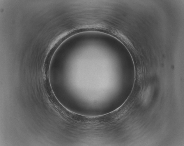 X0000062600628200512211111