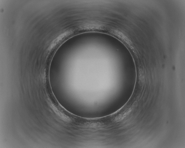 X0000062600629200512211111