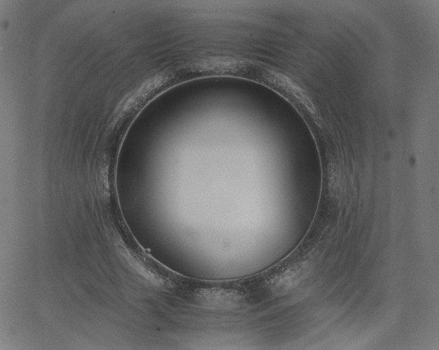 X0000062600633200512211111