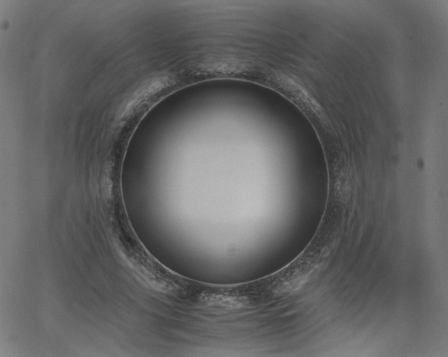X0000062600635200512211111