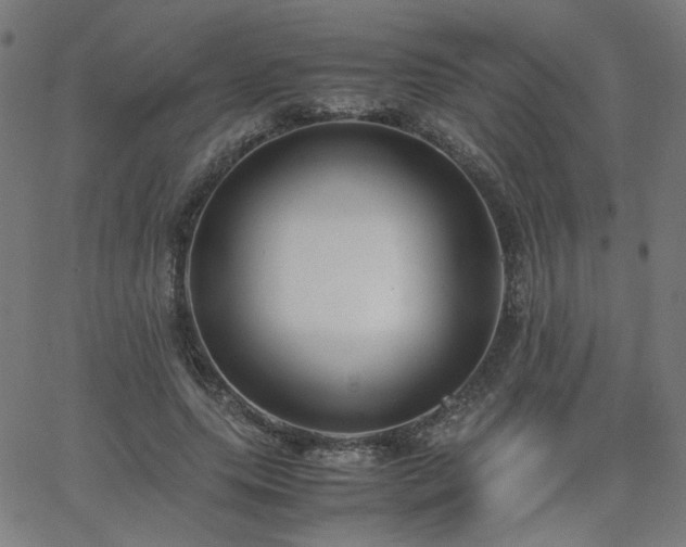 X0000062600639200512211111