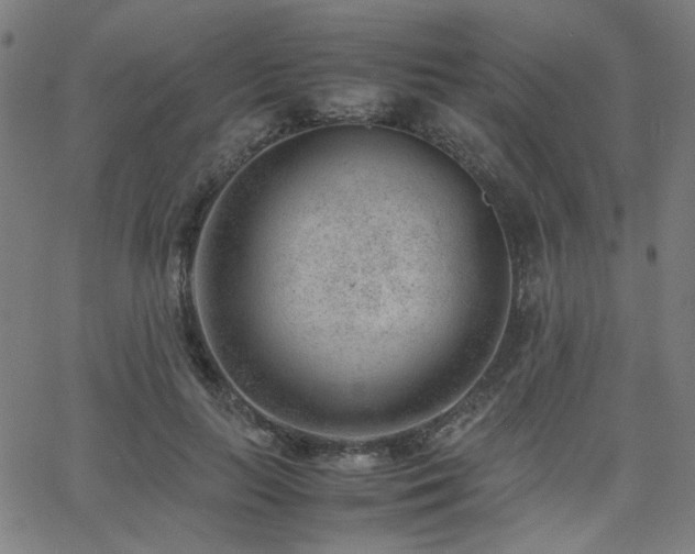 X0000062600647200512211111