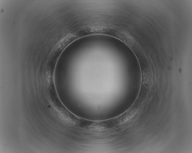 X0000062600648200512211111