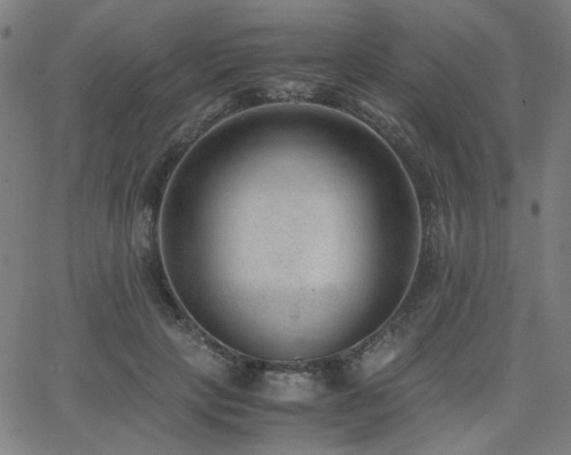 X0000062600649200512211111