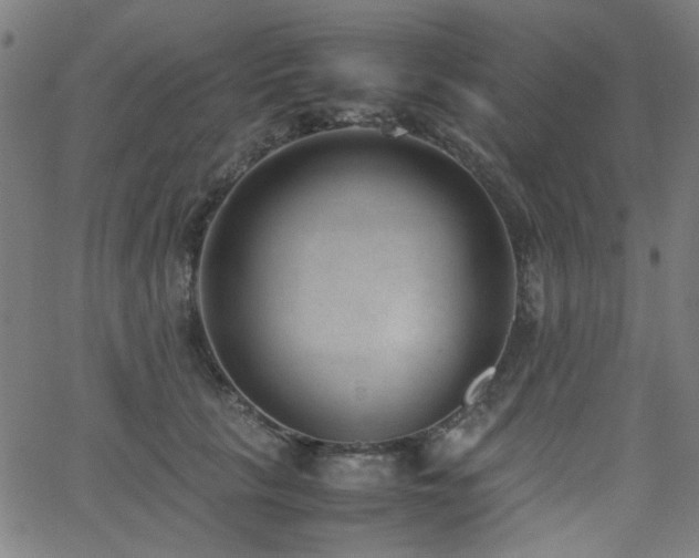 X0000062600657200512211112