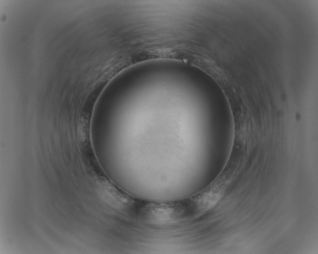 X0000062600658200512211112