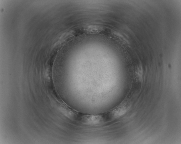 X0000062600663200512211112