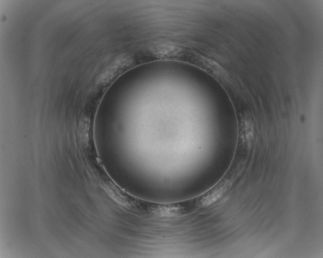 X0000062600664200512211112