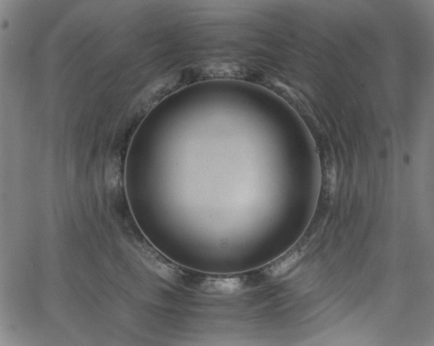 X0000062600665200512211112