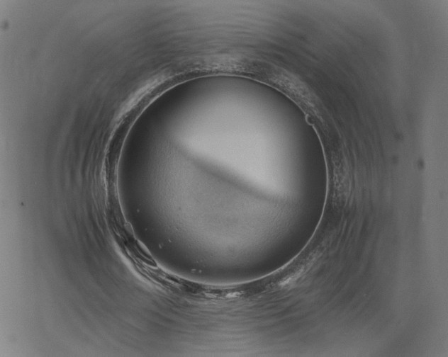 X0000062600674200512211111