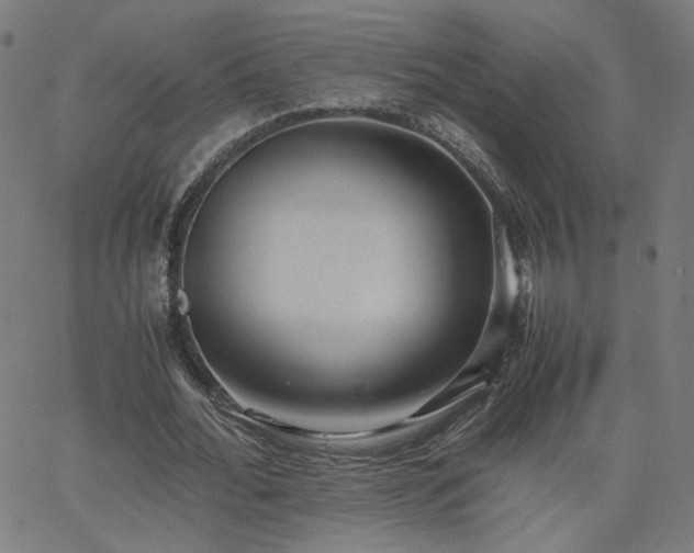 X0000062600676200512211111