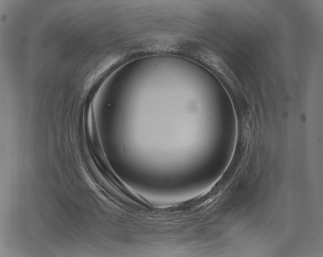 X0000062600677200512211111