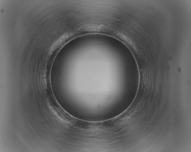X0000062600682200512211111