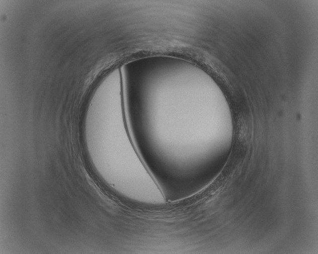 X0000062600685200512211111