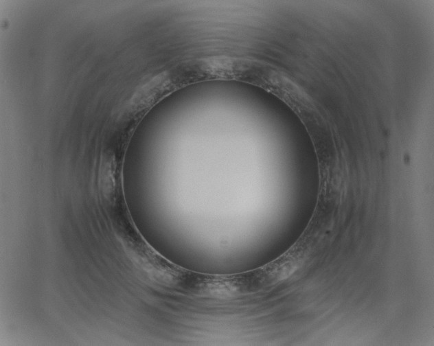 X0000062600702200512211111