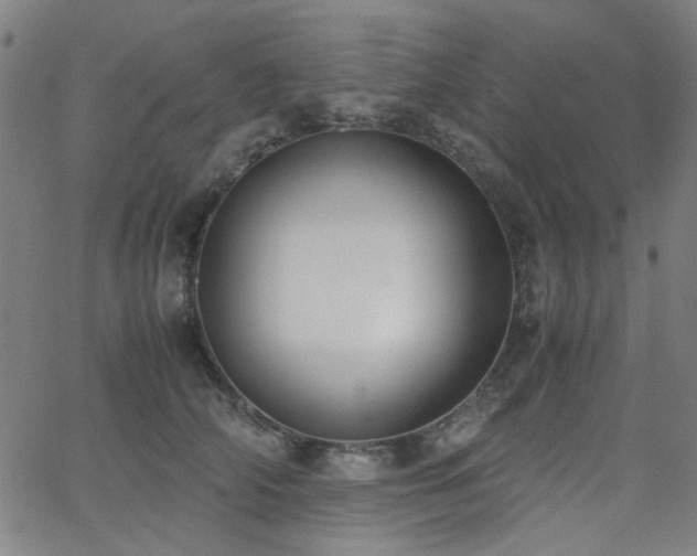 X0000062600706200512211110