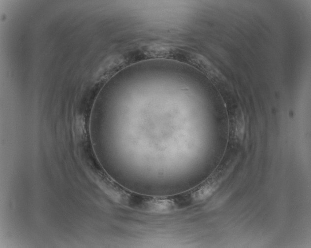 X0000062600711200512211110