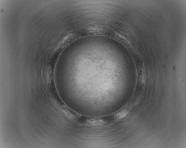 X0000062600712200512211110