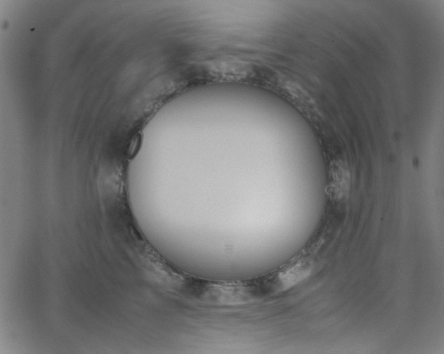 X0000062600713200512211110