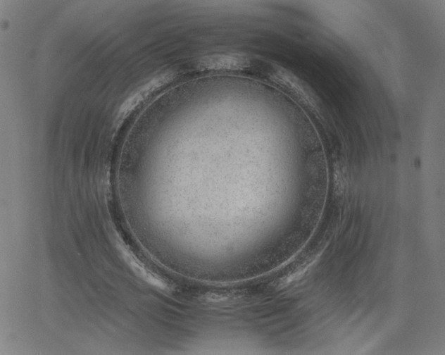 X0000062600725200512211109
